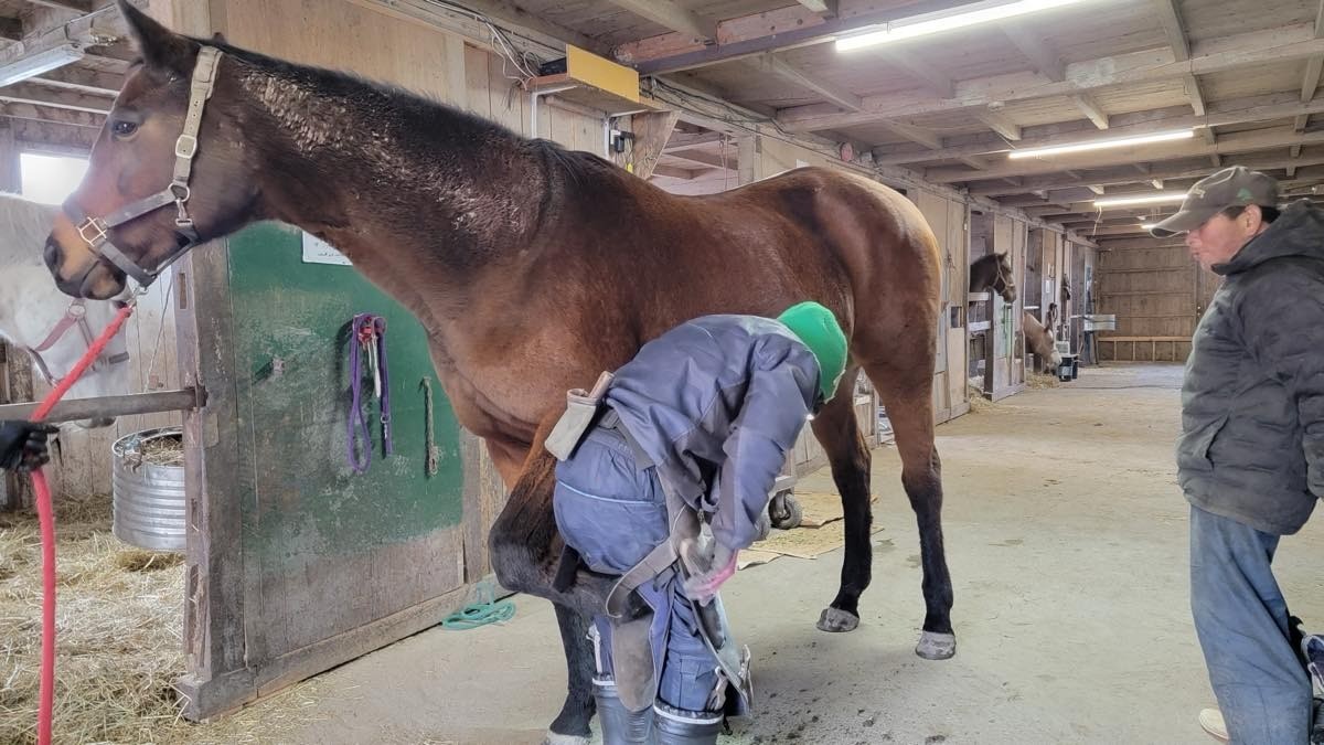 9daa5c7a3f6193d4f26e9af45742fcb5-1765757878.jpg 9daa5c7a3f6193d4f26e9af45742fcb5-1765757878.jpg